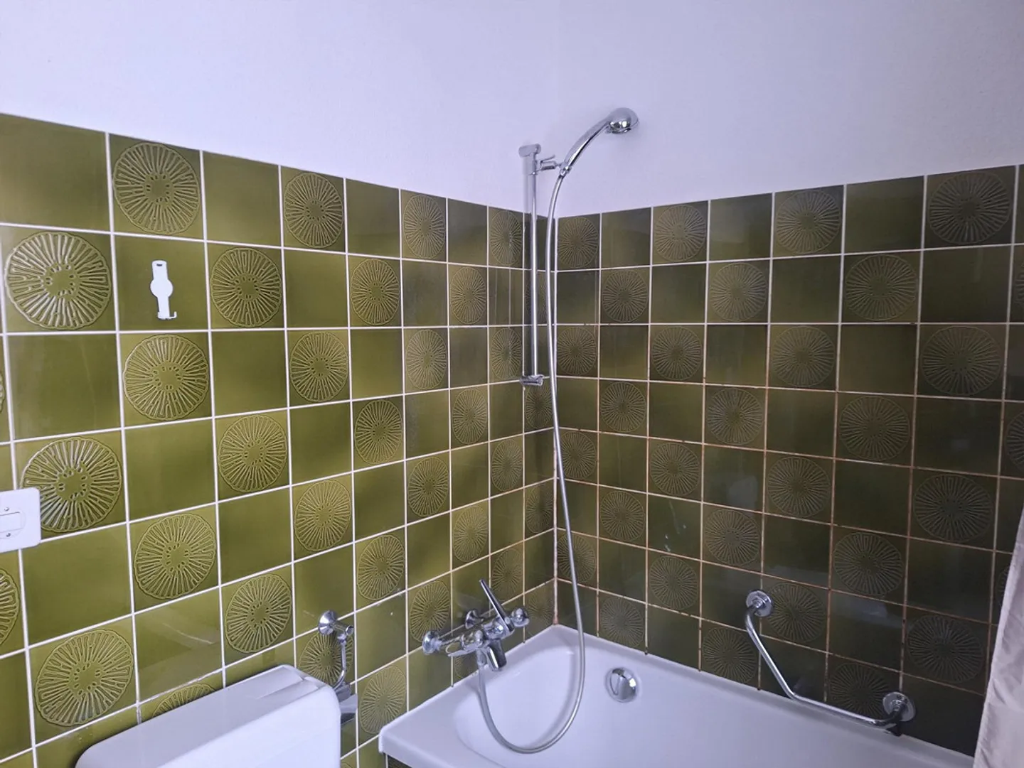 Charming 4.5 Room Townhouse in a Quiet Location of Altstatten SG - Photo 24 of 31