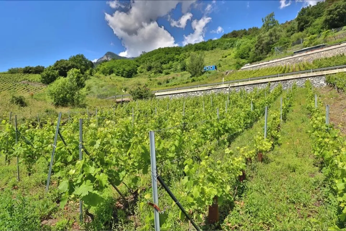 Casa in vendita - Foto 3 di 14