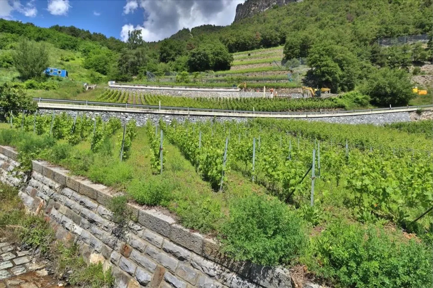 Casa in vendita - Foto 2 di 14