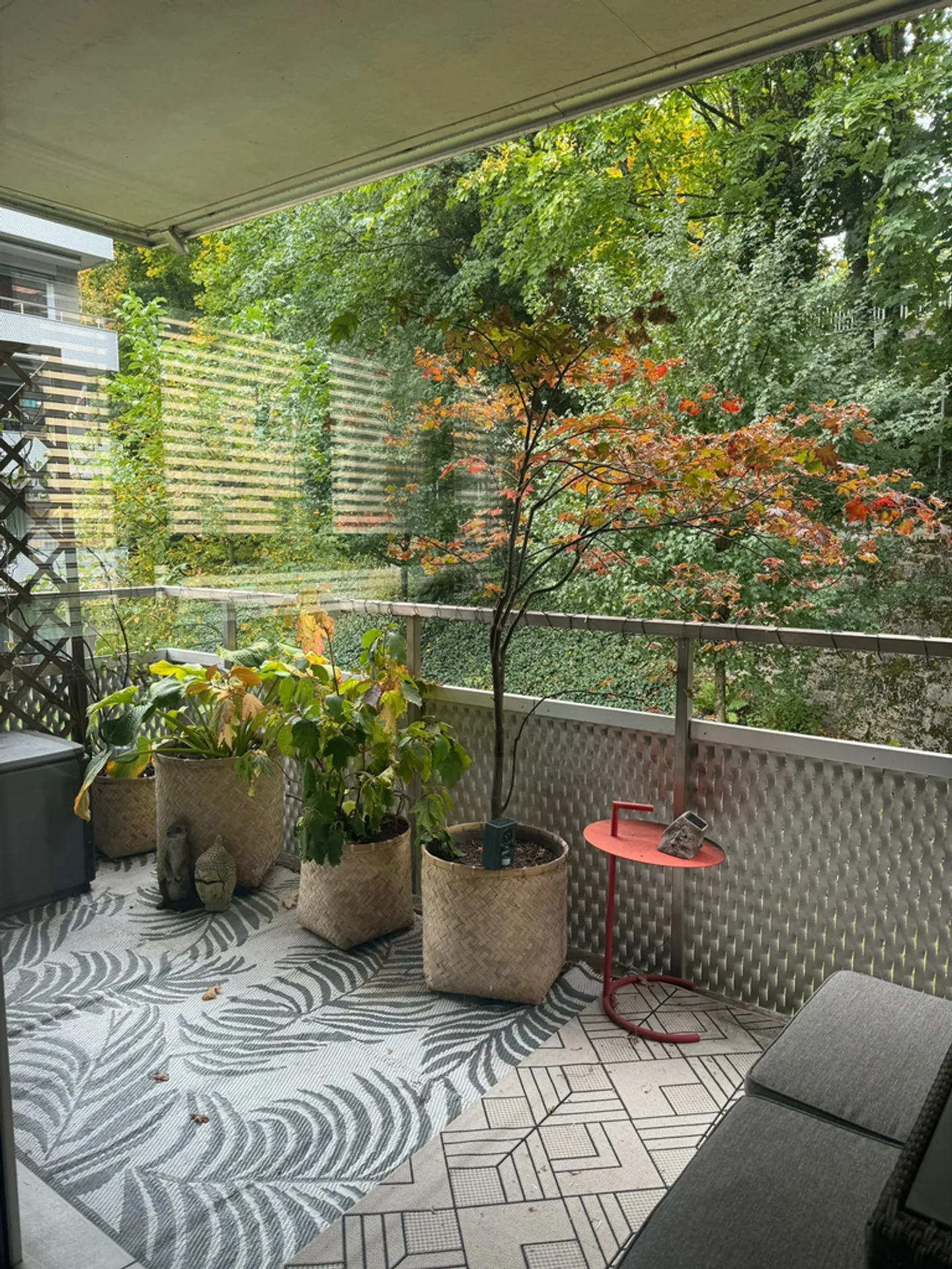 2,5-Zimmer-Wohnung - Foto 6 von 6