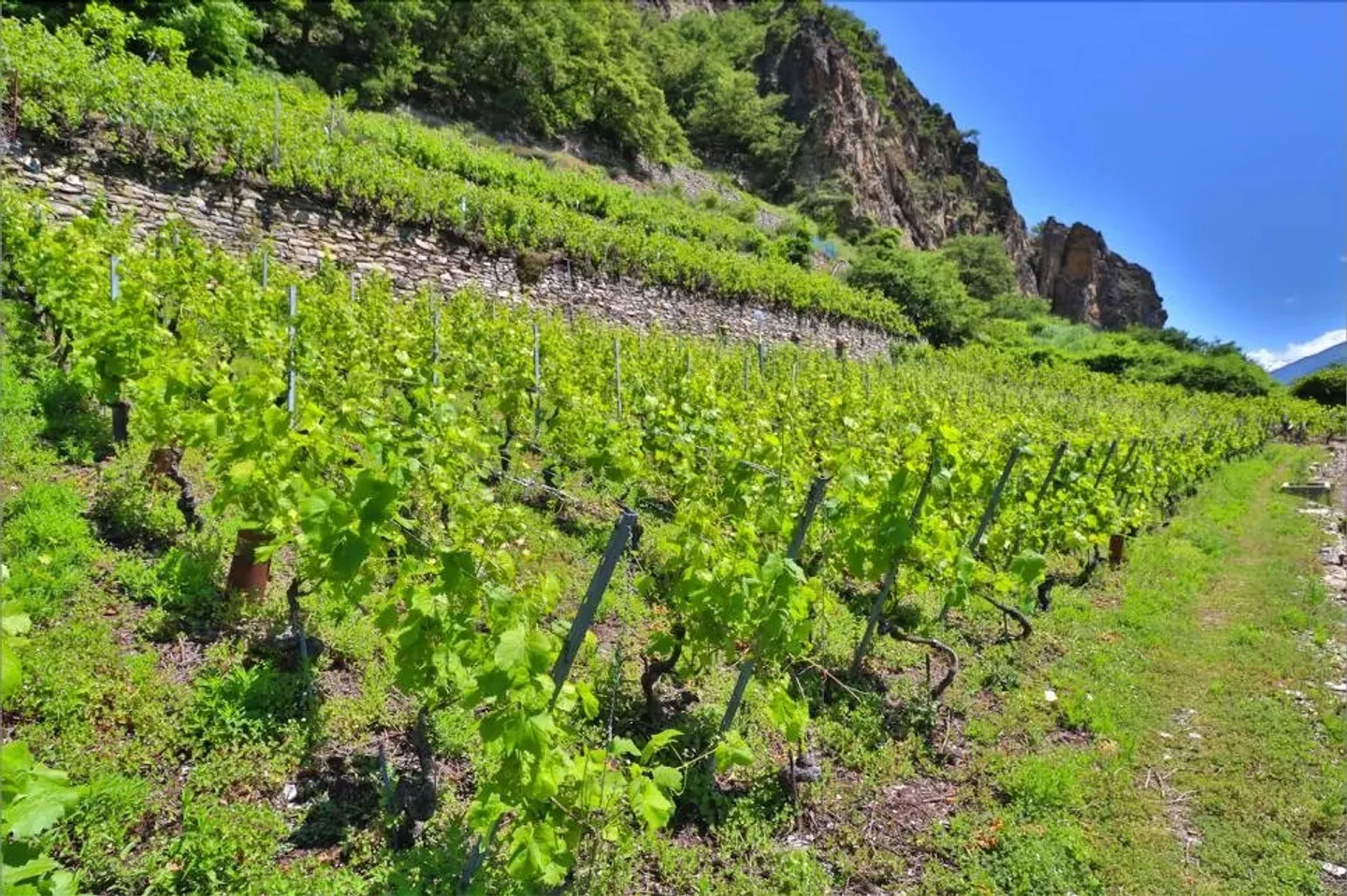 Casa in vendita - Foto 5 di 14