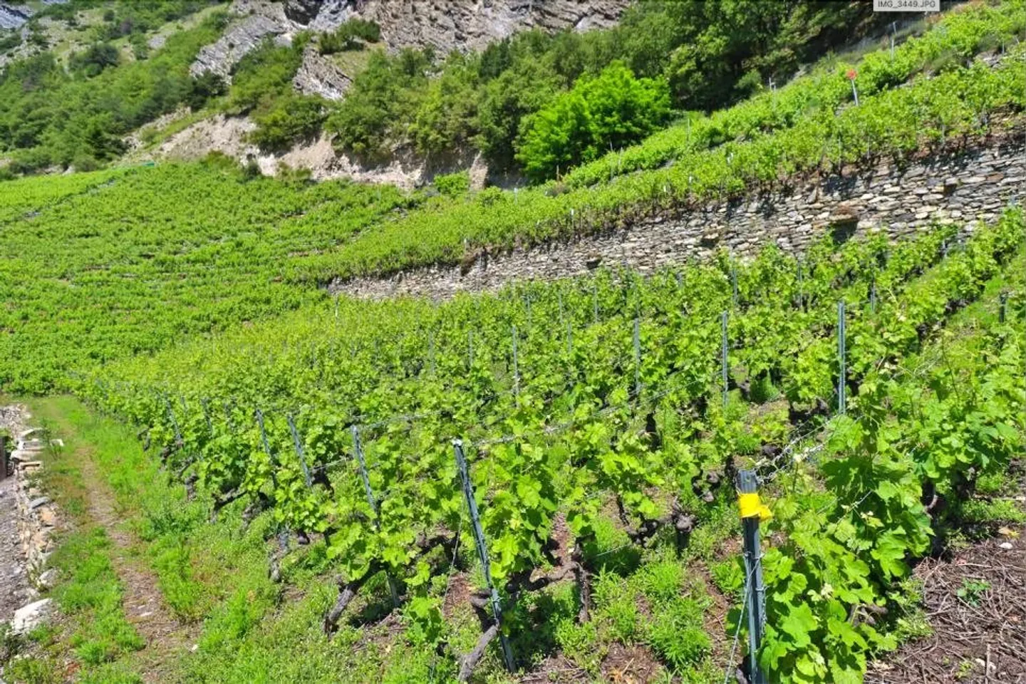 Casa in vendita - Foto 6 di 14