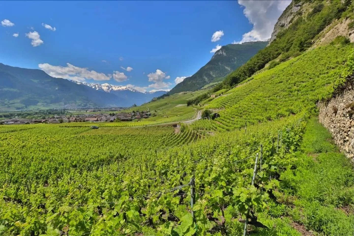 Casa in vendita - Foto 7 di 14