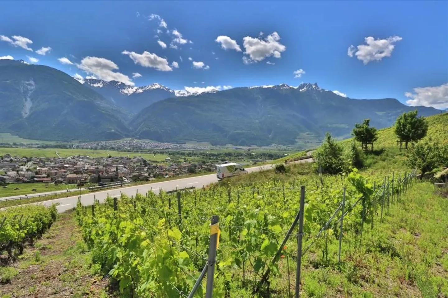 Casa in vendita - Foto 4 di 14