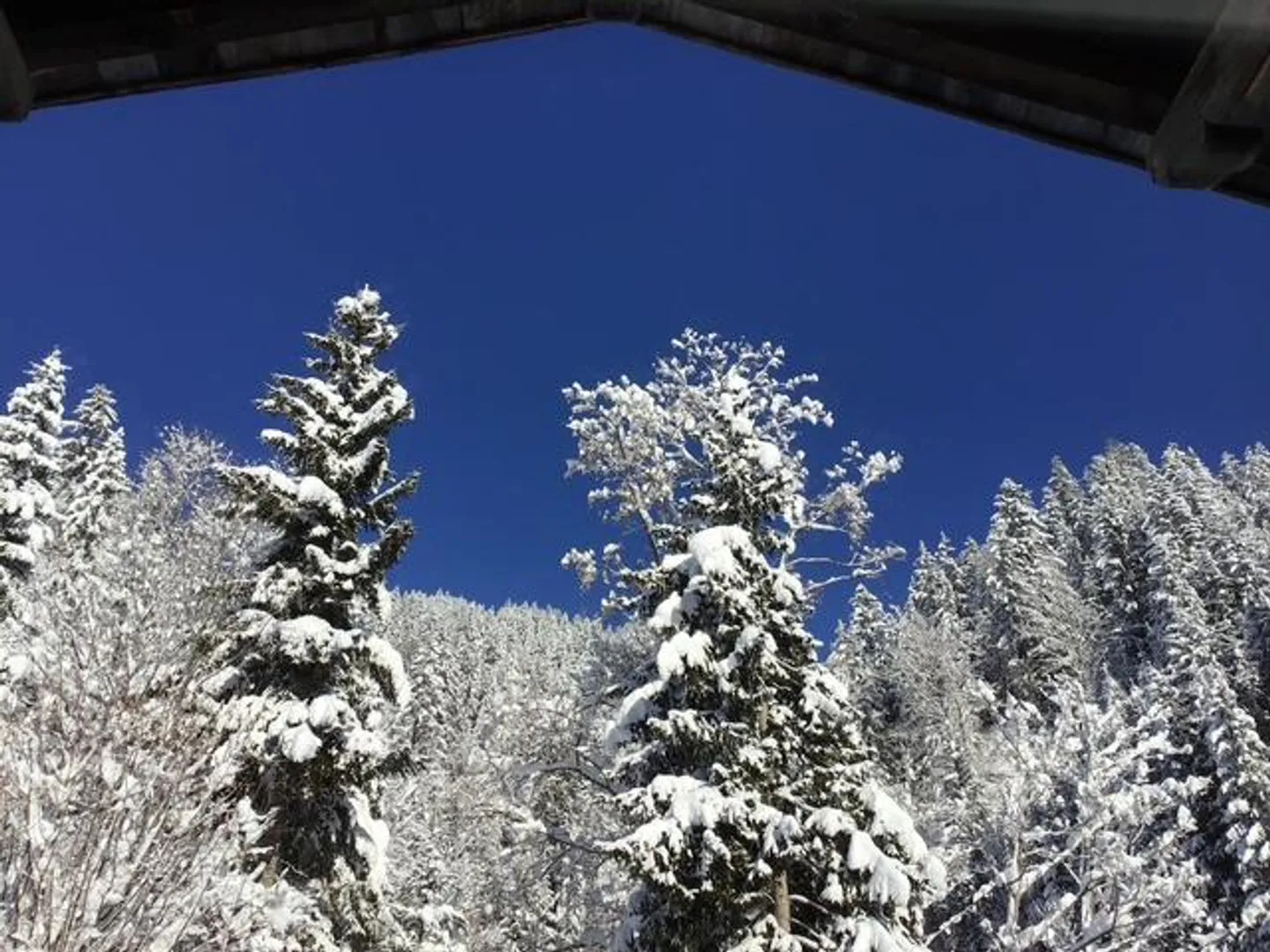 Chalet in affitto - Foto 3 di 47