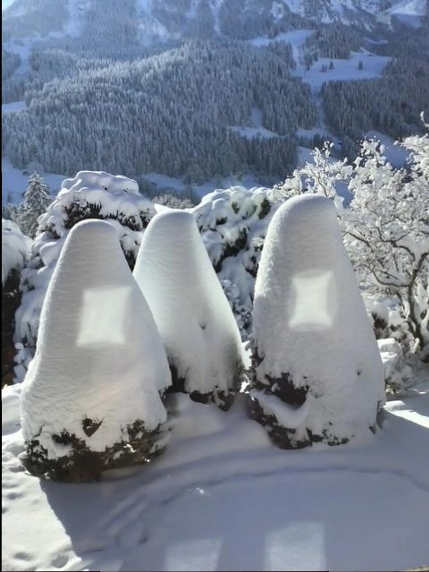 Chalet in affitto - Foto 20 di 47