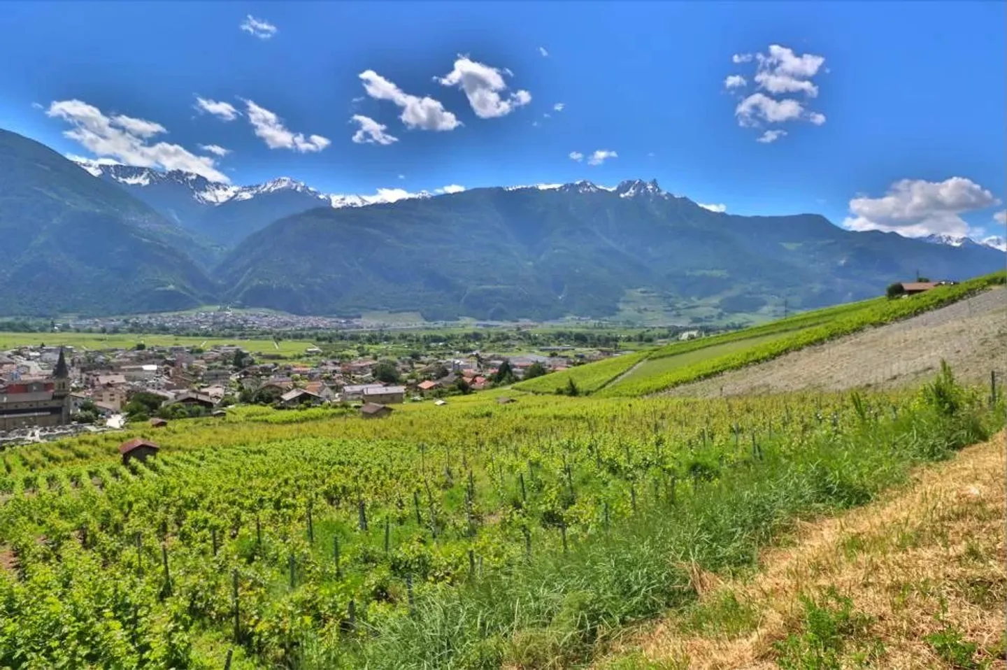 Casa in vendita - Foto 10 di 14