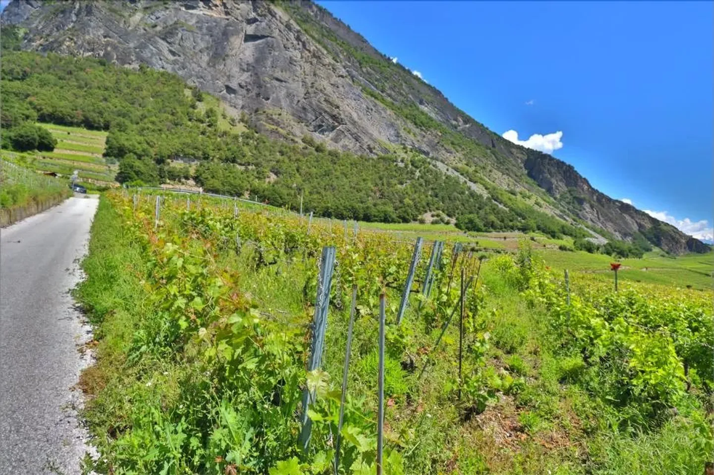 Casa in vendita - Foto 11 di 14