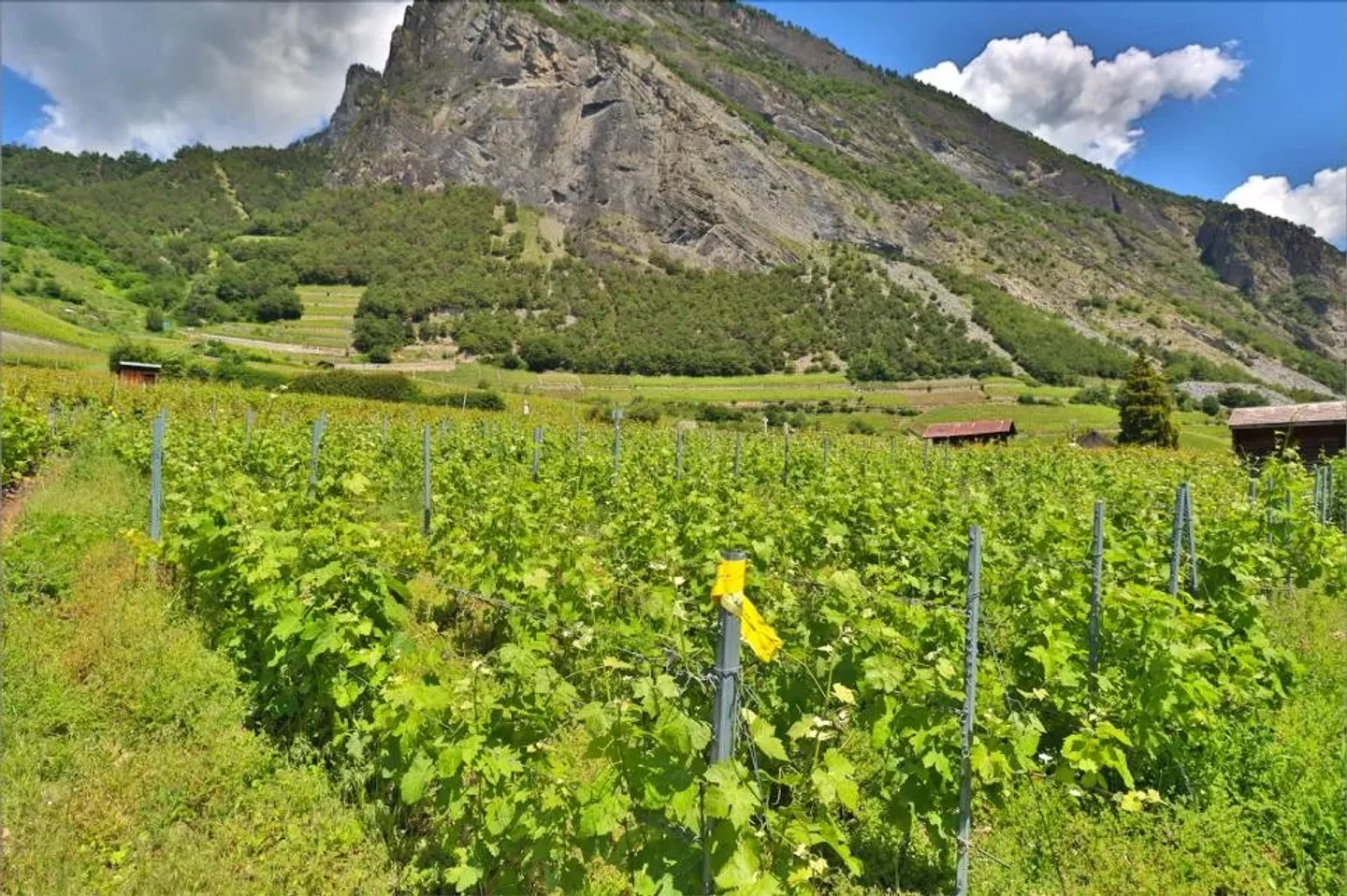 Casa in vendita - Foto 13 di 14