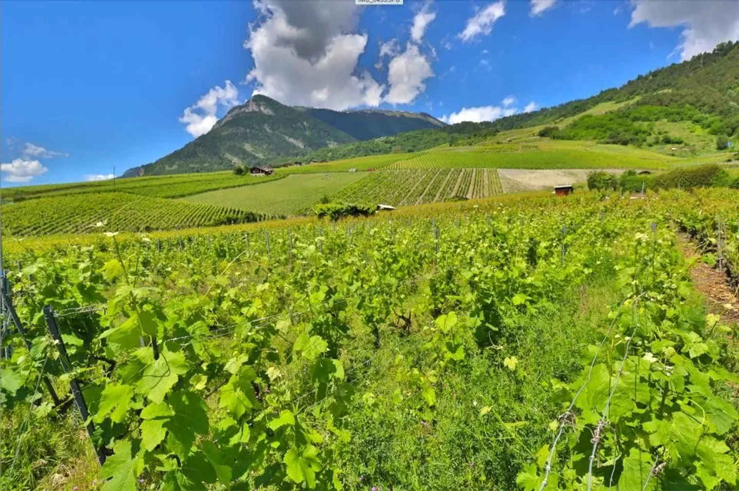 Casa in vendita - Foto 14 di 14