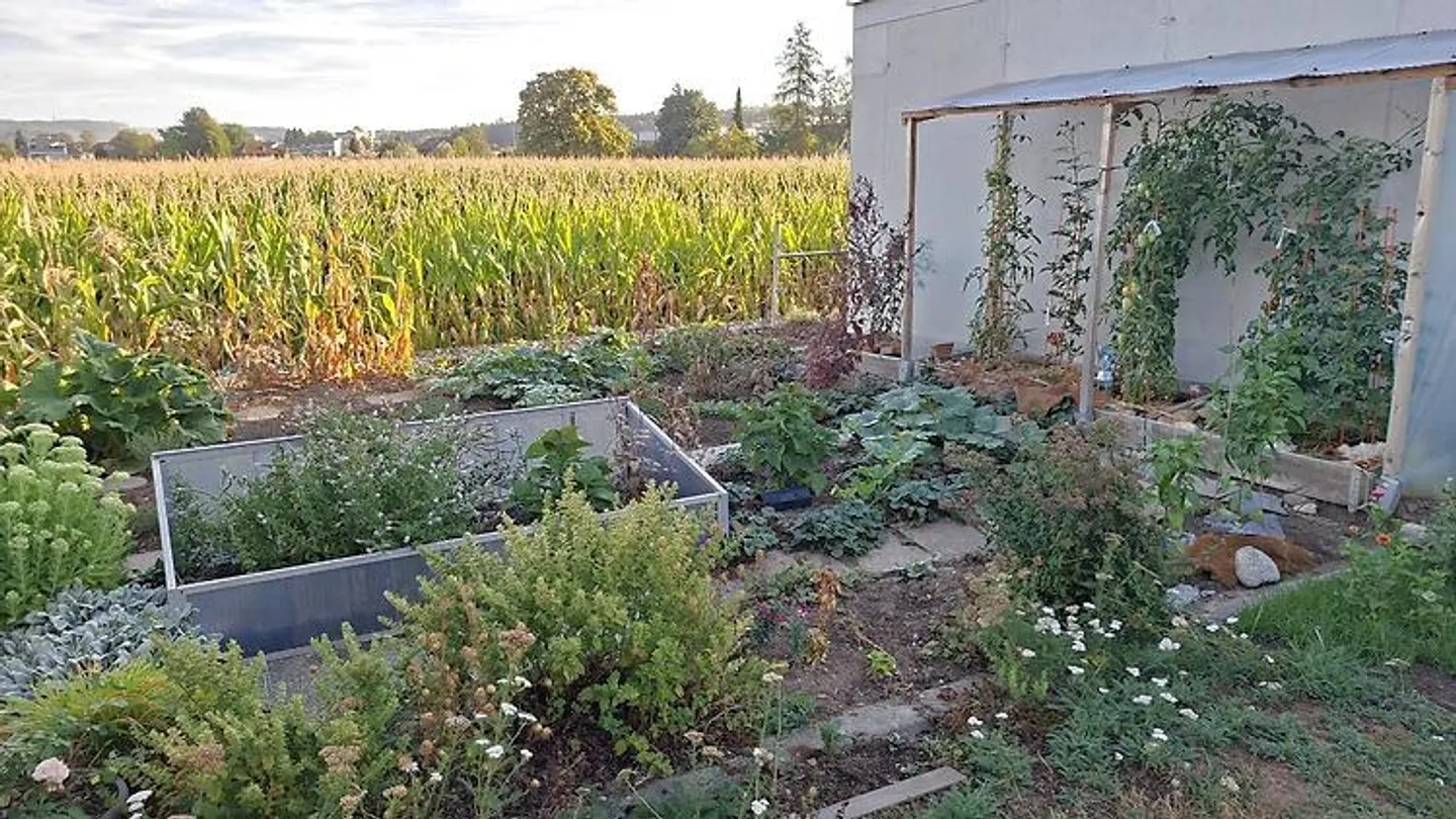 Casa indipendente con giardino - Foto 9 di 9