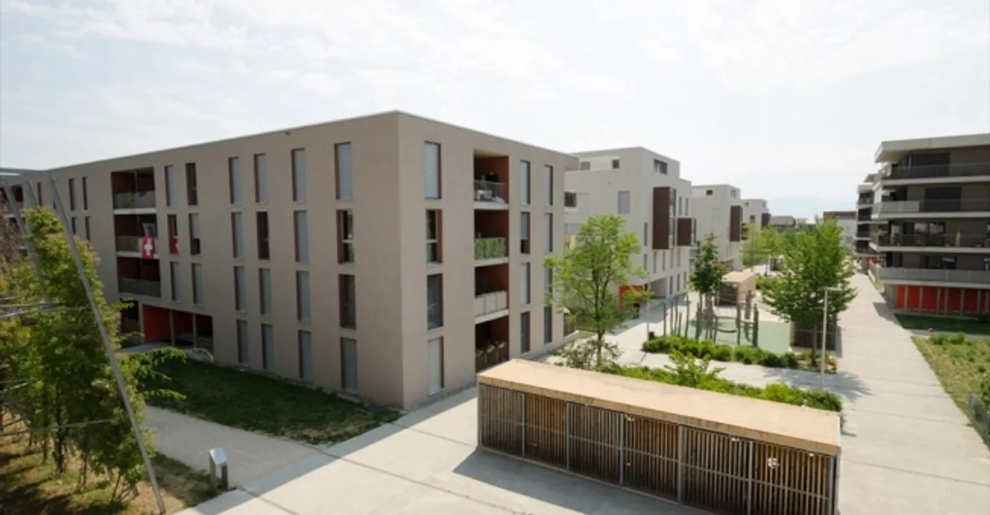 Einlage - Foto 4 von 4