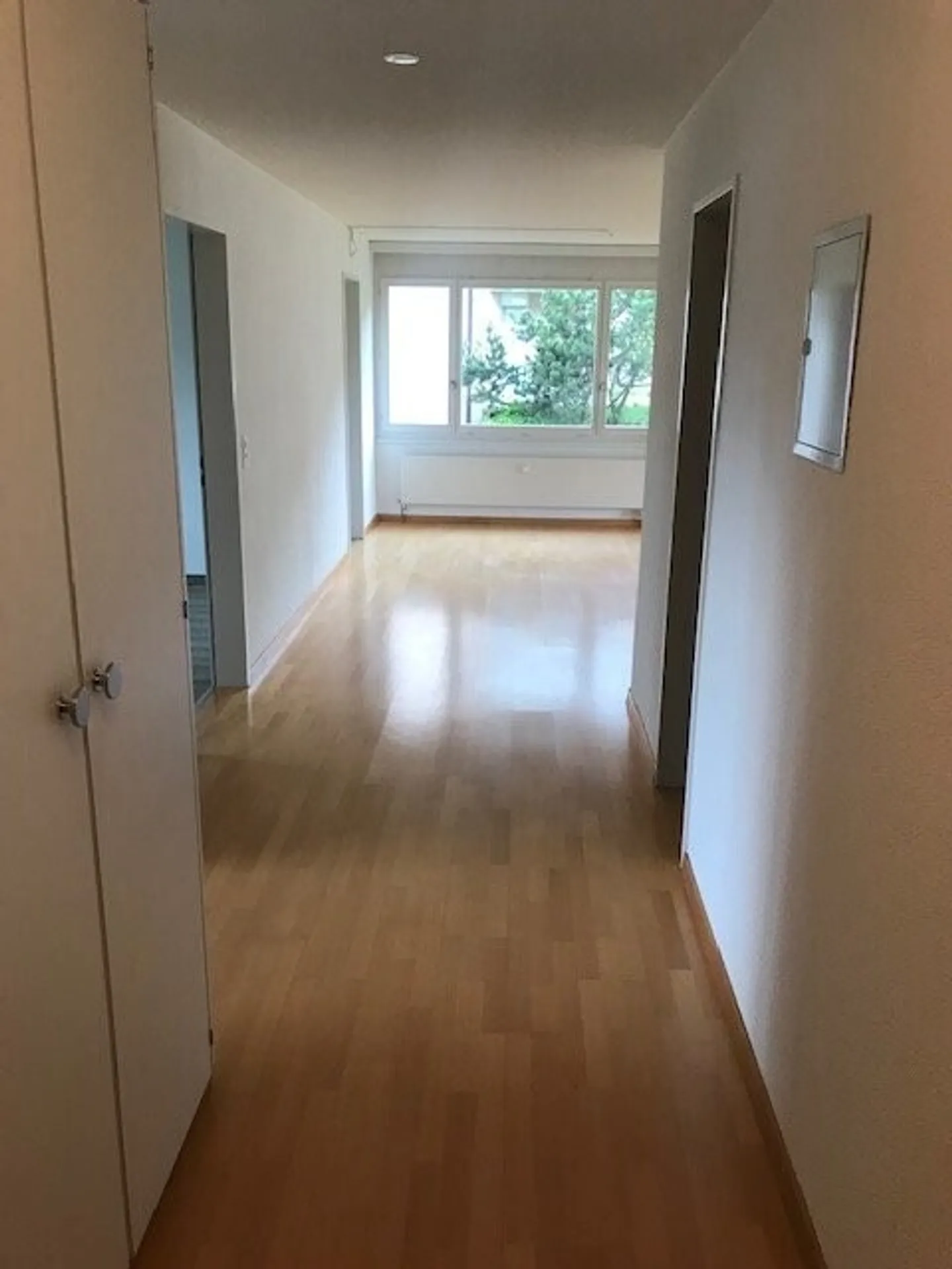 3.5-Room Apartment in the Green - Photo 3 of 11