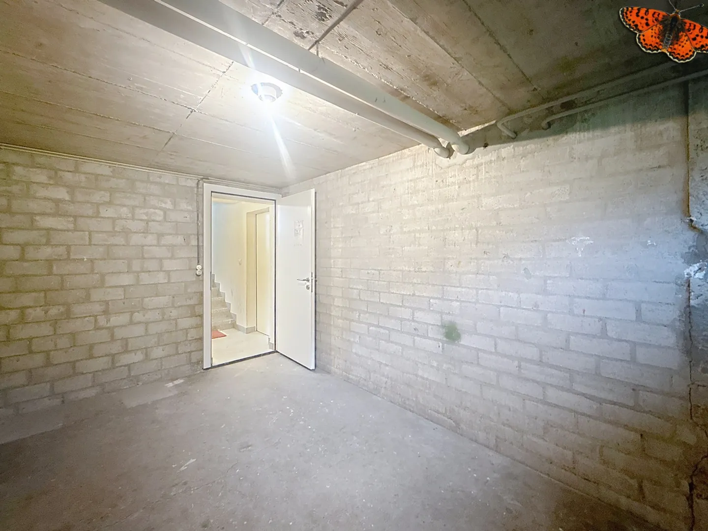 Dependency 1 room - Photo 4 of 7