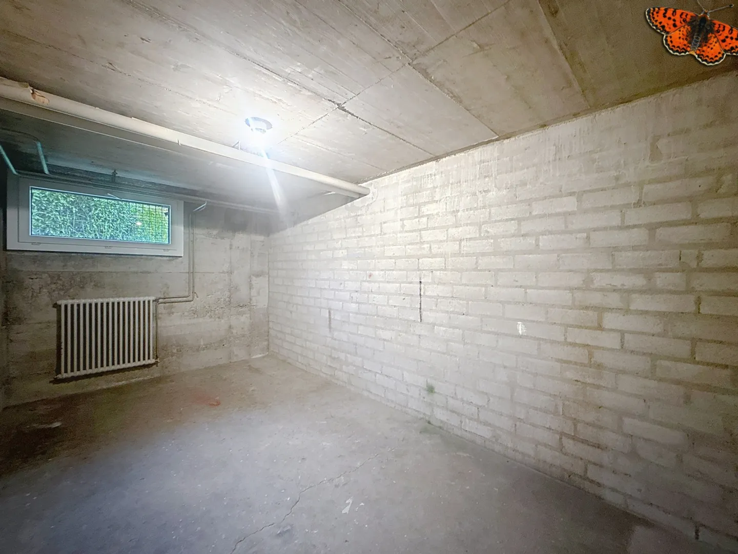 Dependency 1 room - Photo 2 of 7