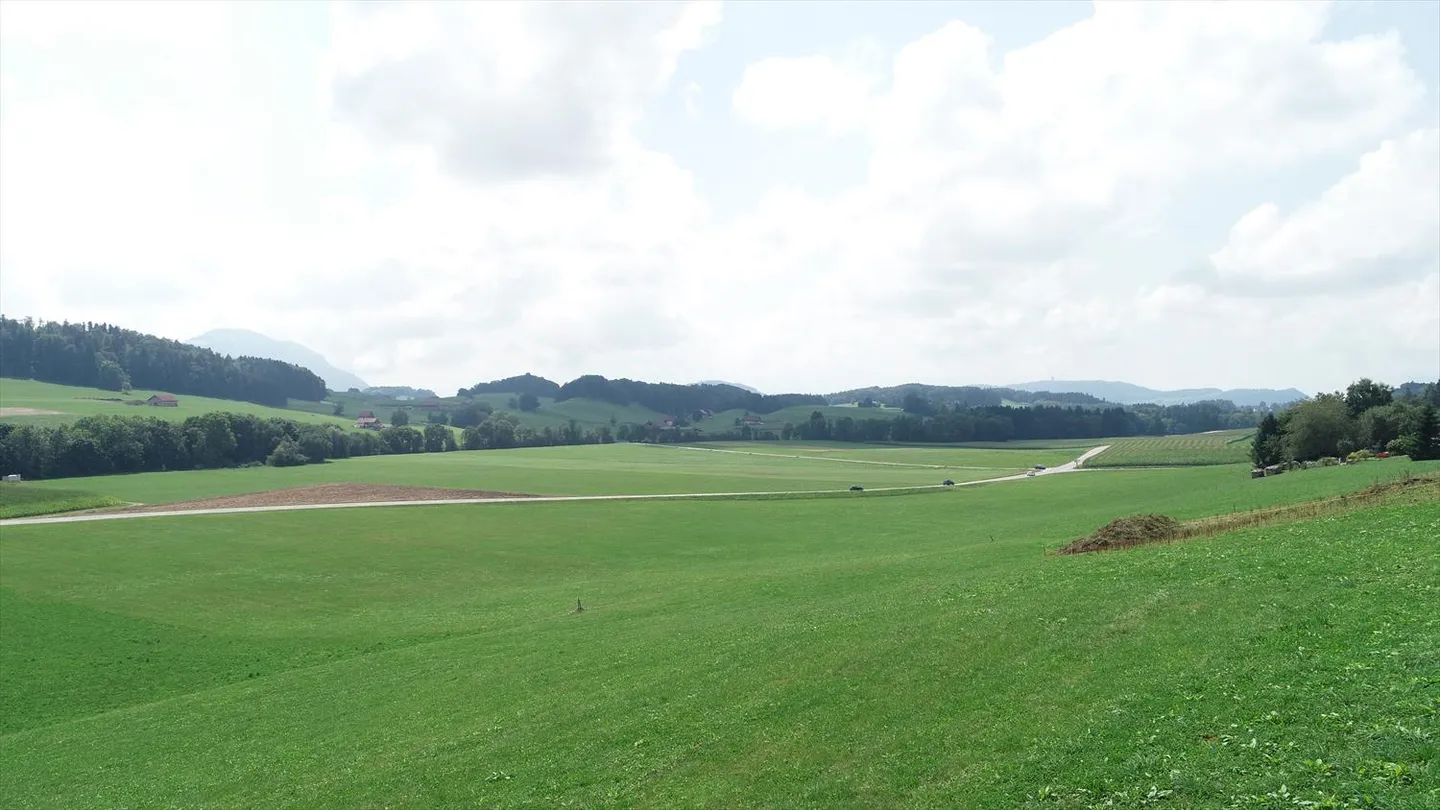 Reihenhaus mit herrlichem Blick - Foto 19 von 20