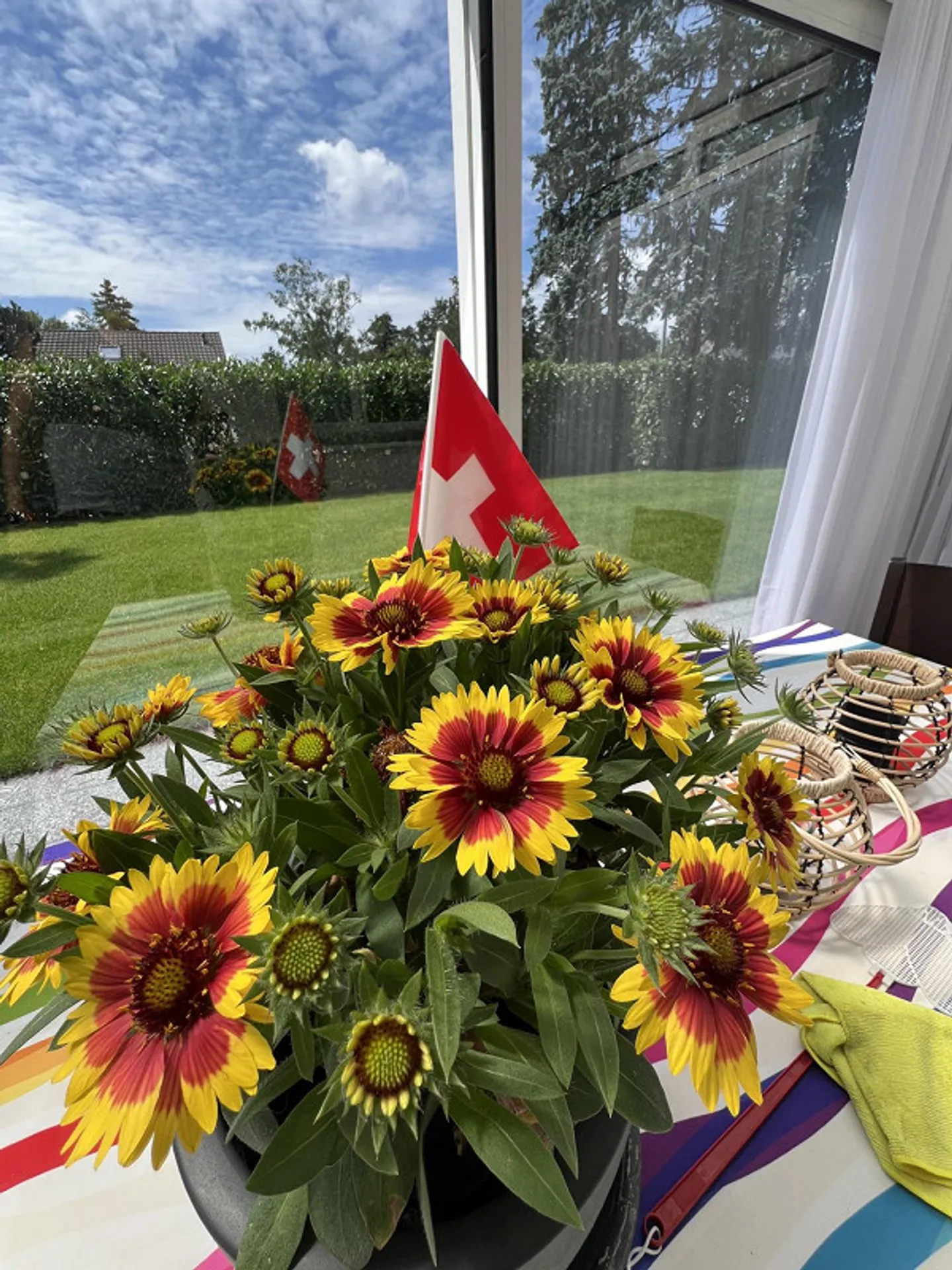 Charmante Wohnung mit Wintergarten - Foto 1 von 10
