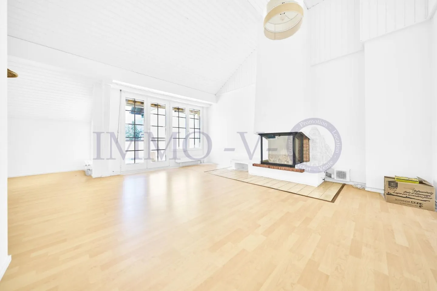 PENTHOUSE SPACIEUX RÉNOVÉ AVEC CARACTÈRE, BALCON-TERRASSE ET VUE SUR LE LAC - Photo 2 sur 10