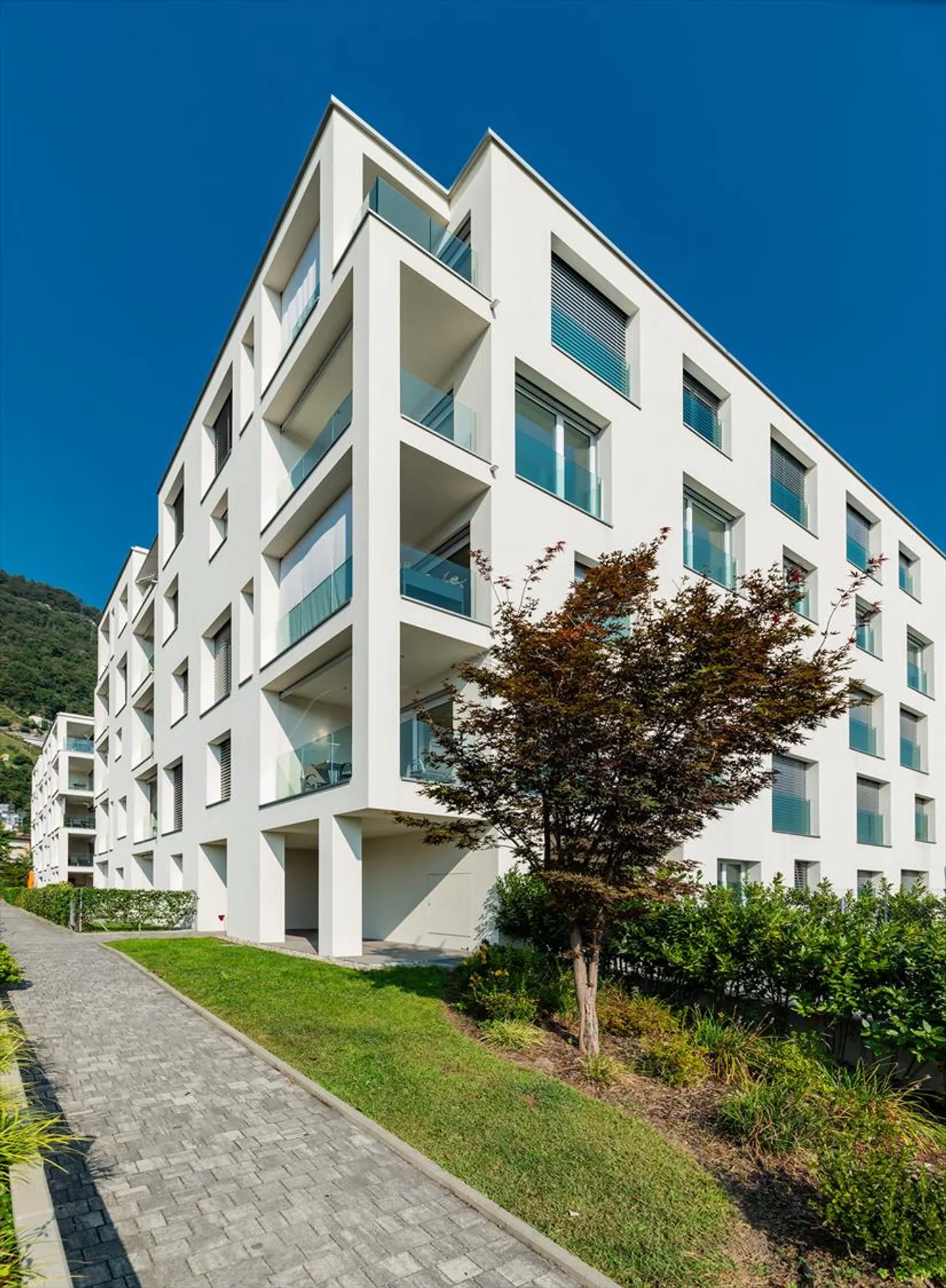 Small private garden - Photo 5 of 9