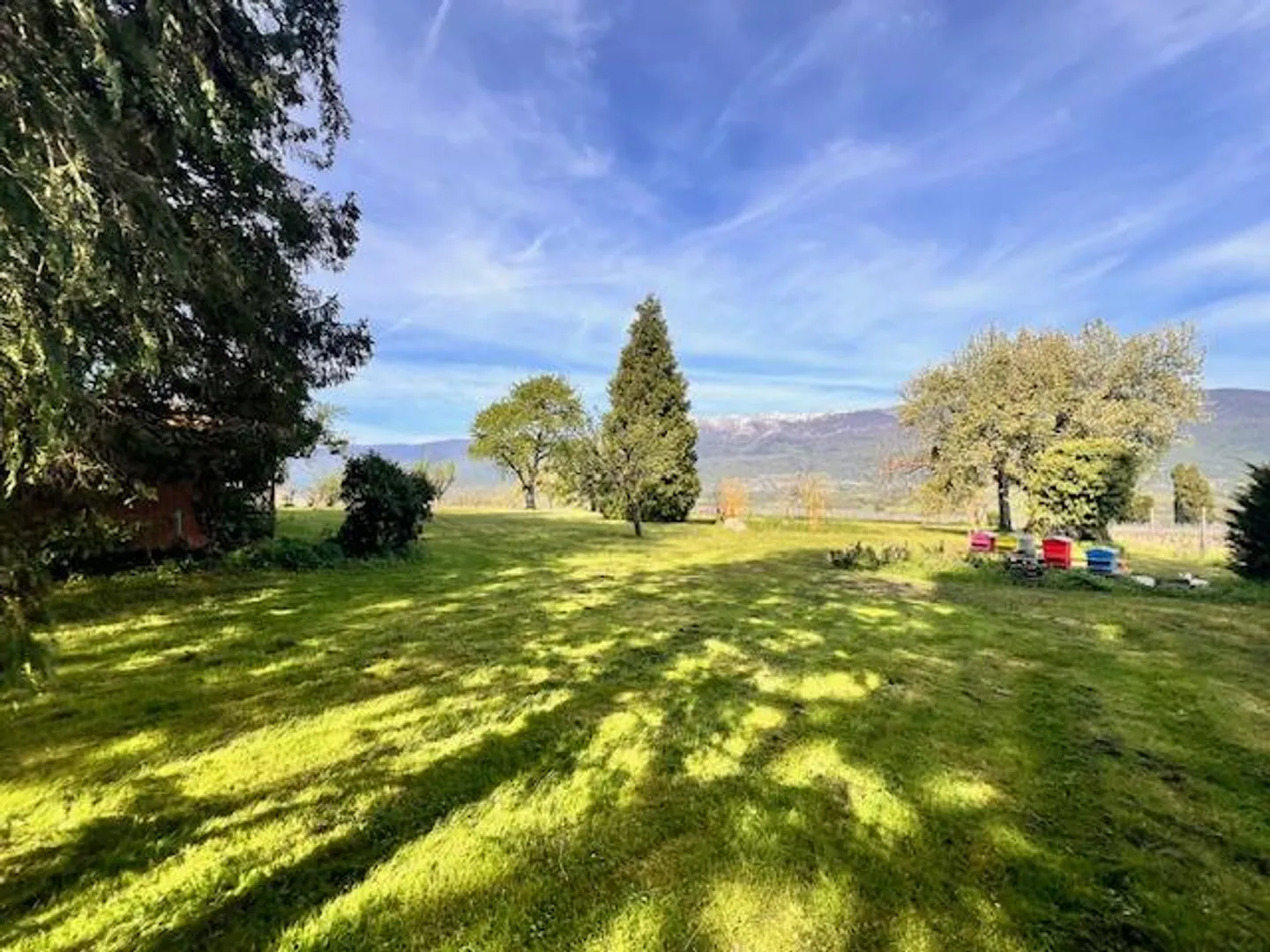 Large Village House for Cash in the Geneva Countryside of Satigny - Photo 4 of 27