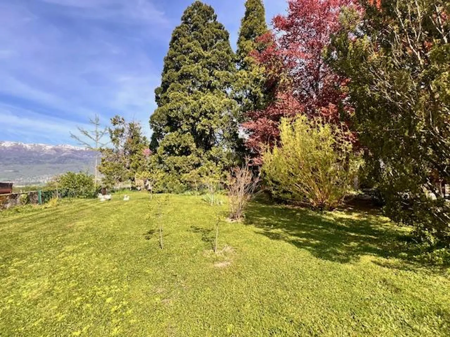 Large Village House for Cash in the Geneva Countryside of Satigny - Photo 7 of 27