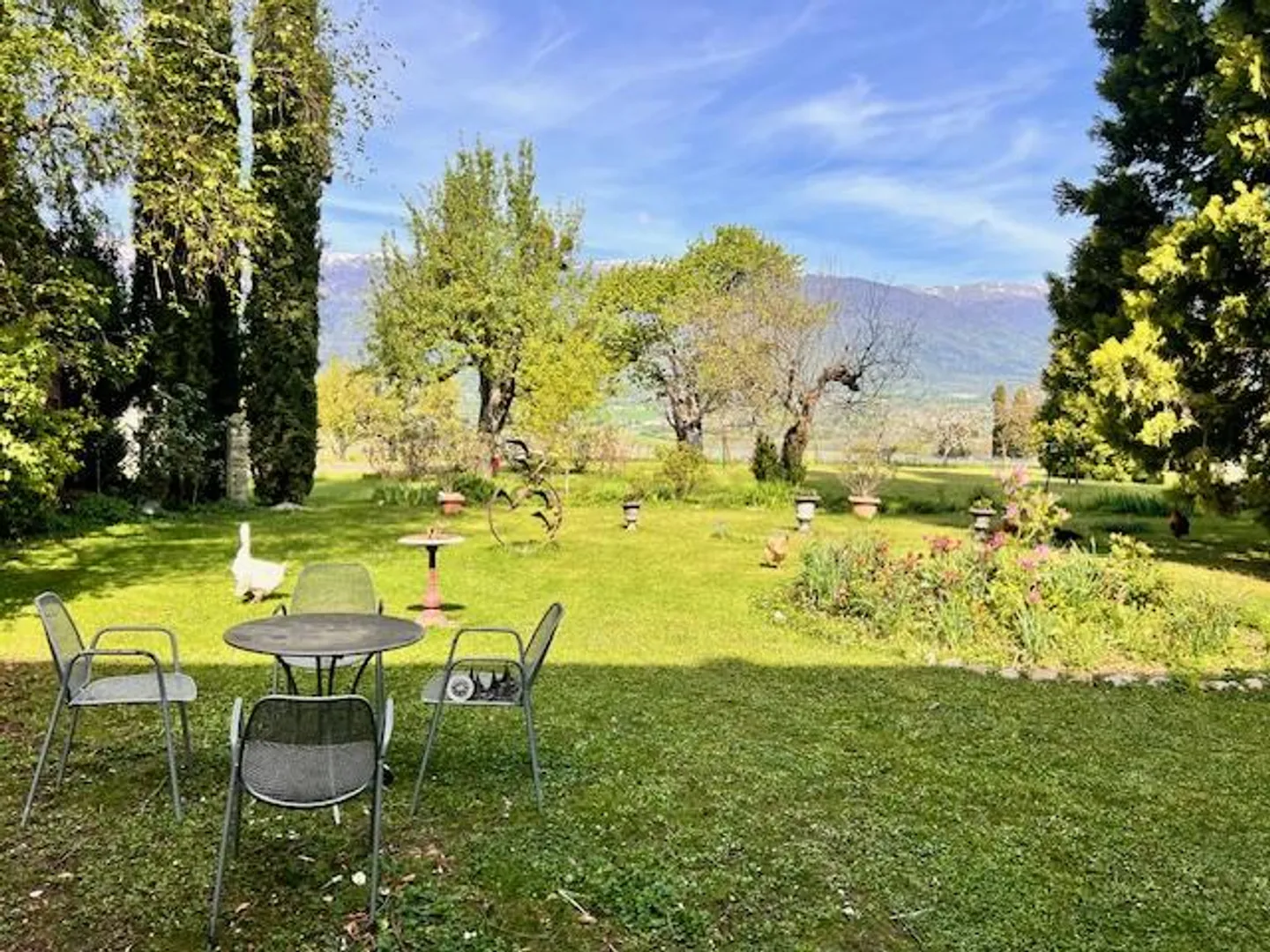 Large Village House for Cash in the Geneva Countryside of Satigny - Photo 13 of 27