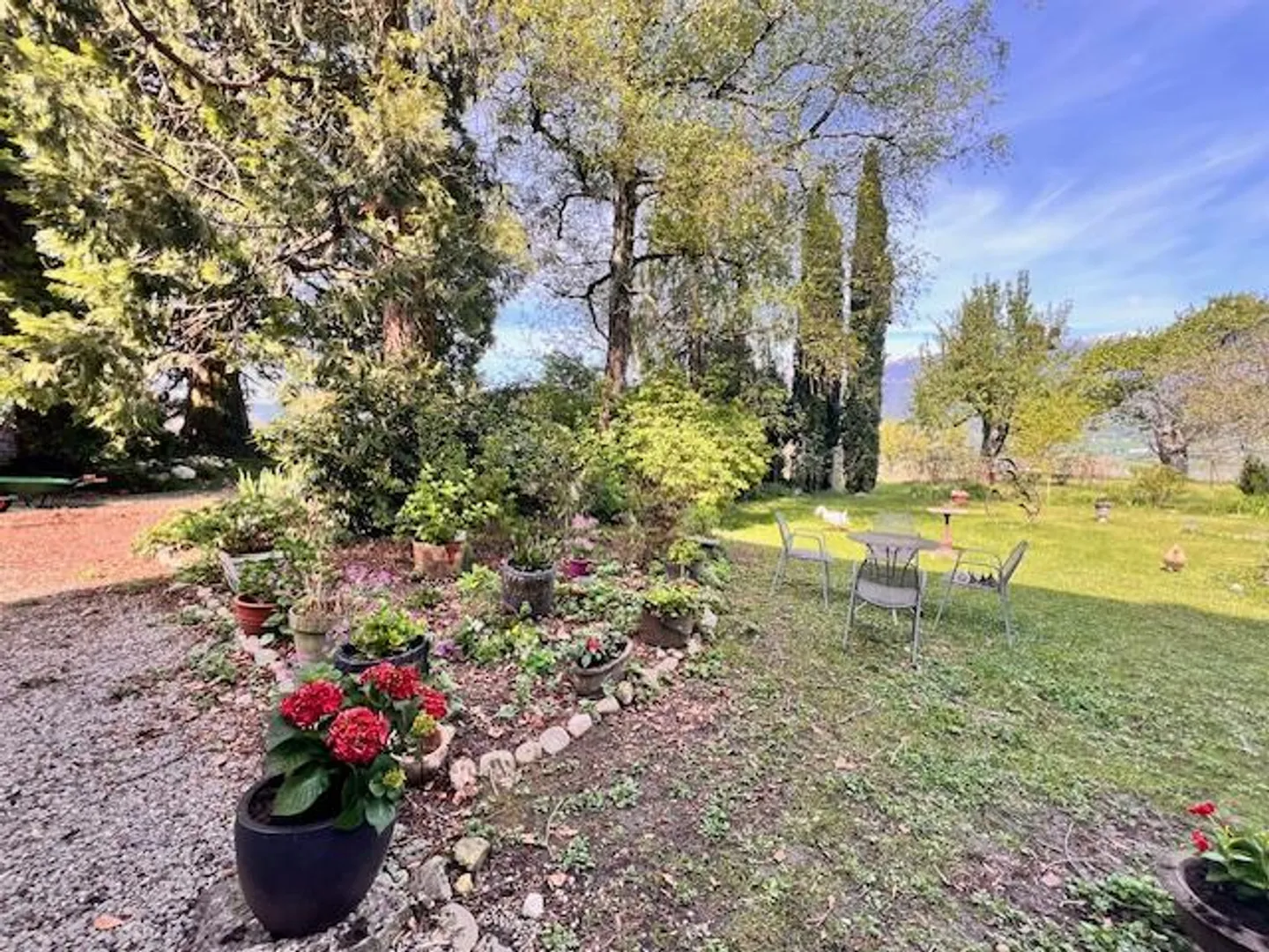 Large Village House for Cash in the Geneva Countryside of Satigny - Photo 14 of 27