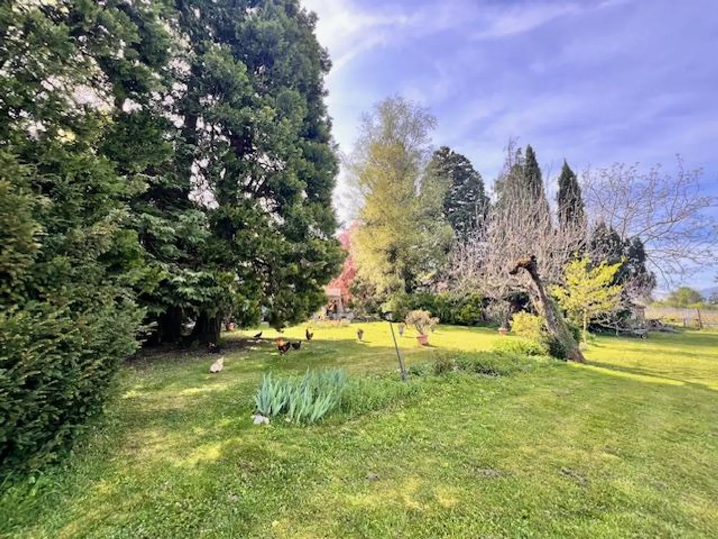 Large Village House for Cash in the Geneva Countryside of Satigny - Photo 15 of 27