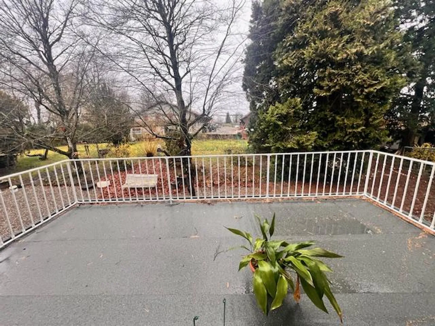 Large Village House for Cash in the Geneva Countryside of Satigny - Photo 20 of 27