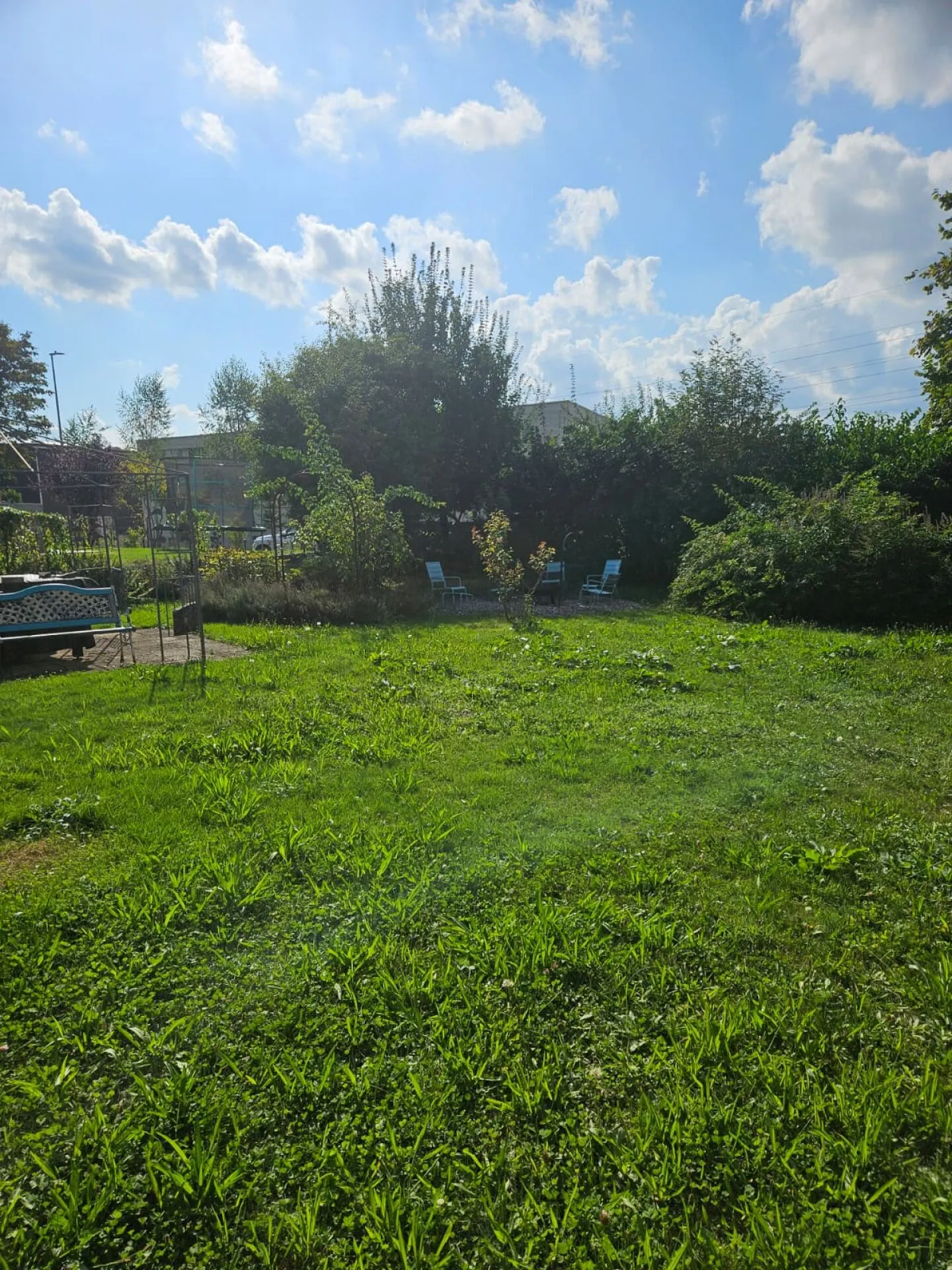 Terreno edificabile sviluppato tra Aarau e Lenzburg - Foto 2 di 2