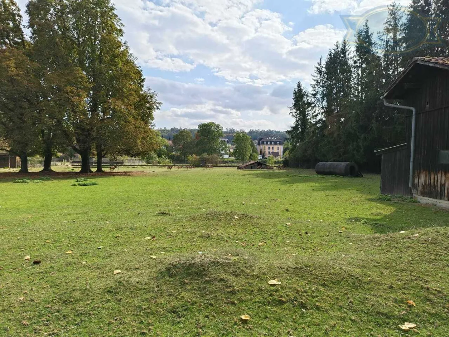 Opportunità di Ristrutturazione - Foto 7 di 15