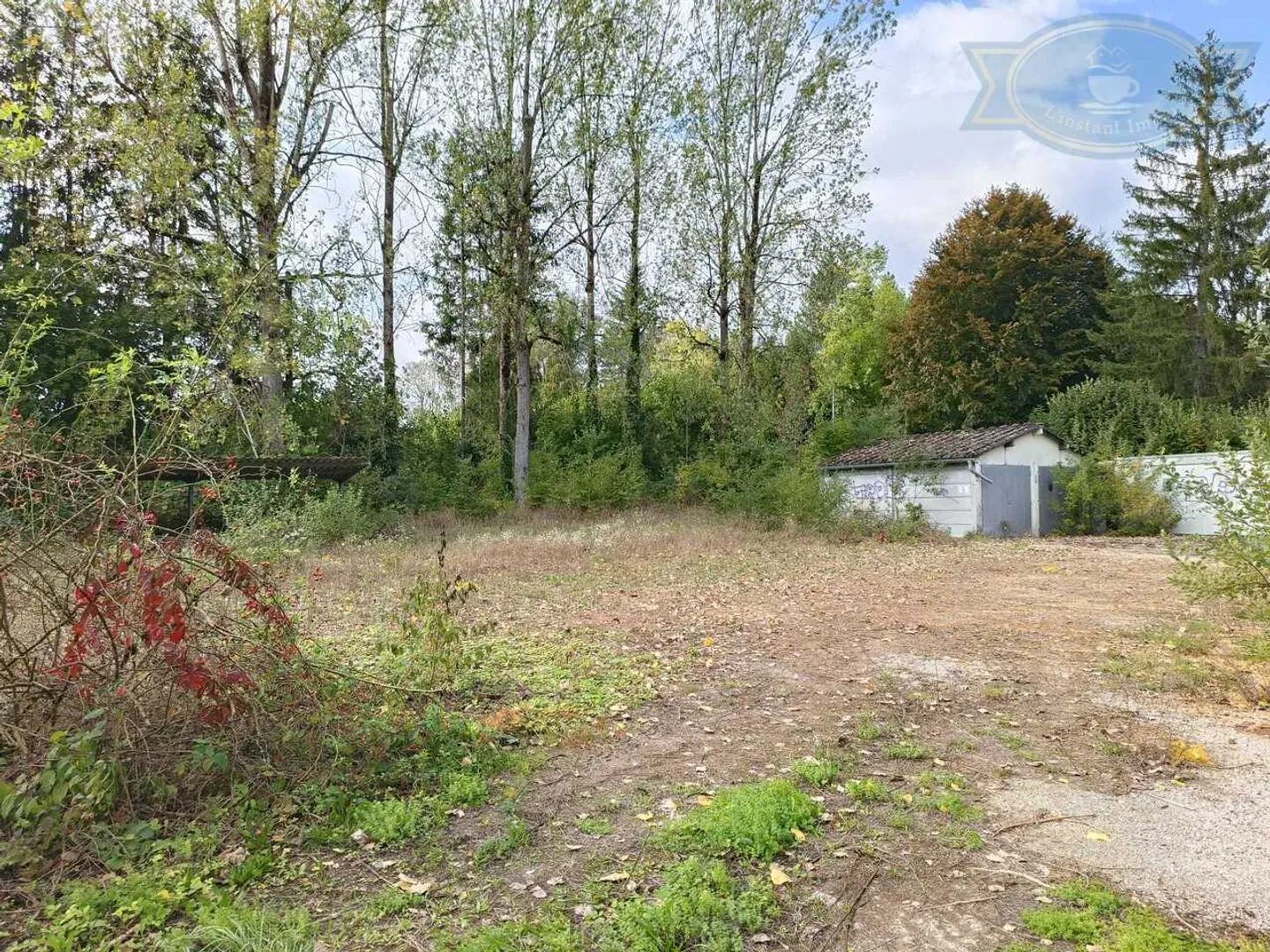 Opportunità di Ristrutturazione - Foto 8 di 15