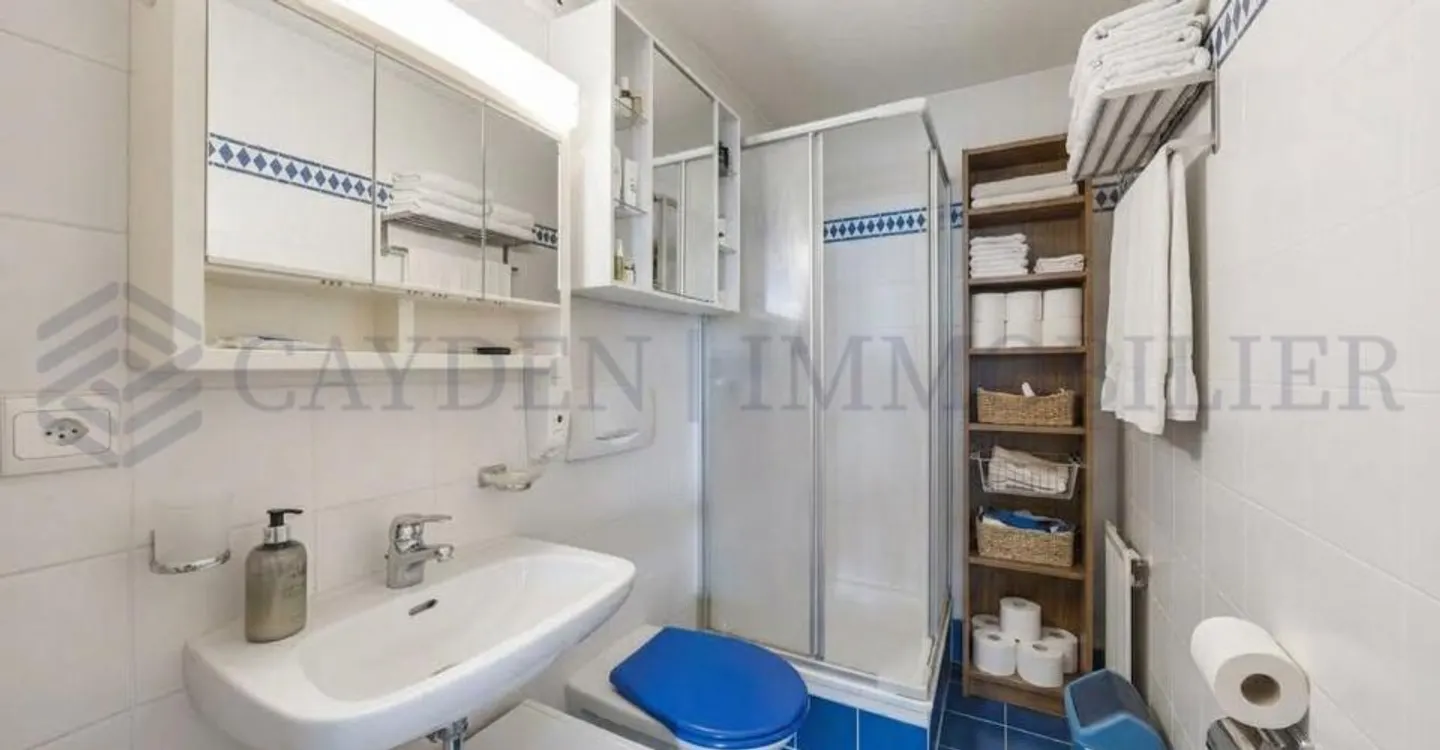 In esclusiva! Incantevole appartamento di 5 locali nel cuore di Onex - Foto 12 di 13