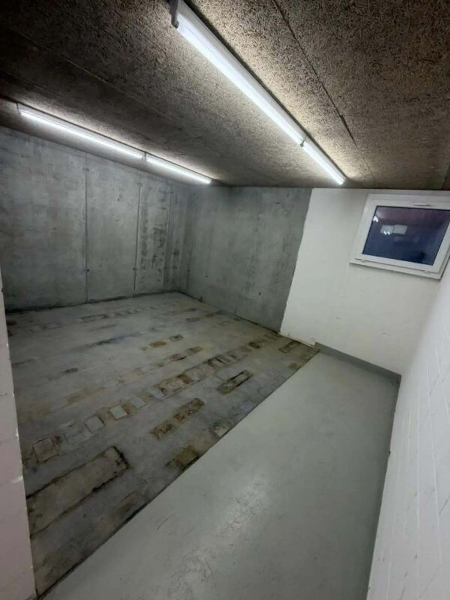 Storage Room - 53m2 - Photo 4 of 7