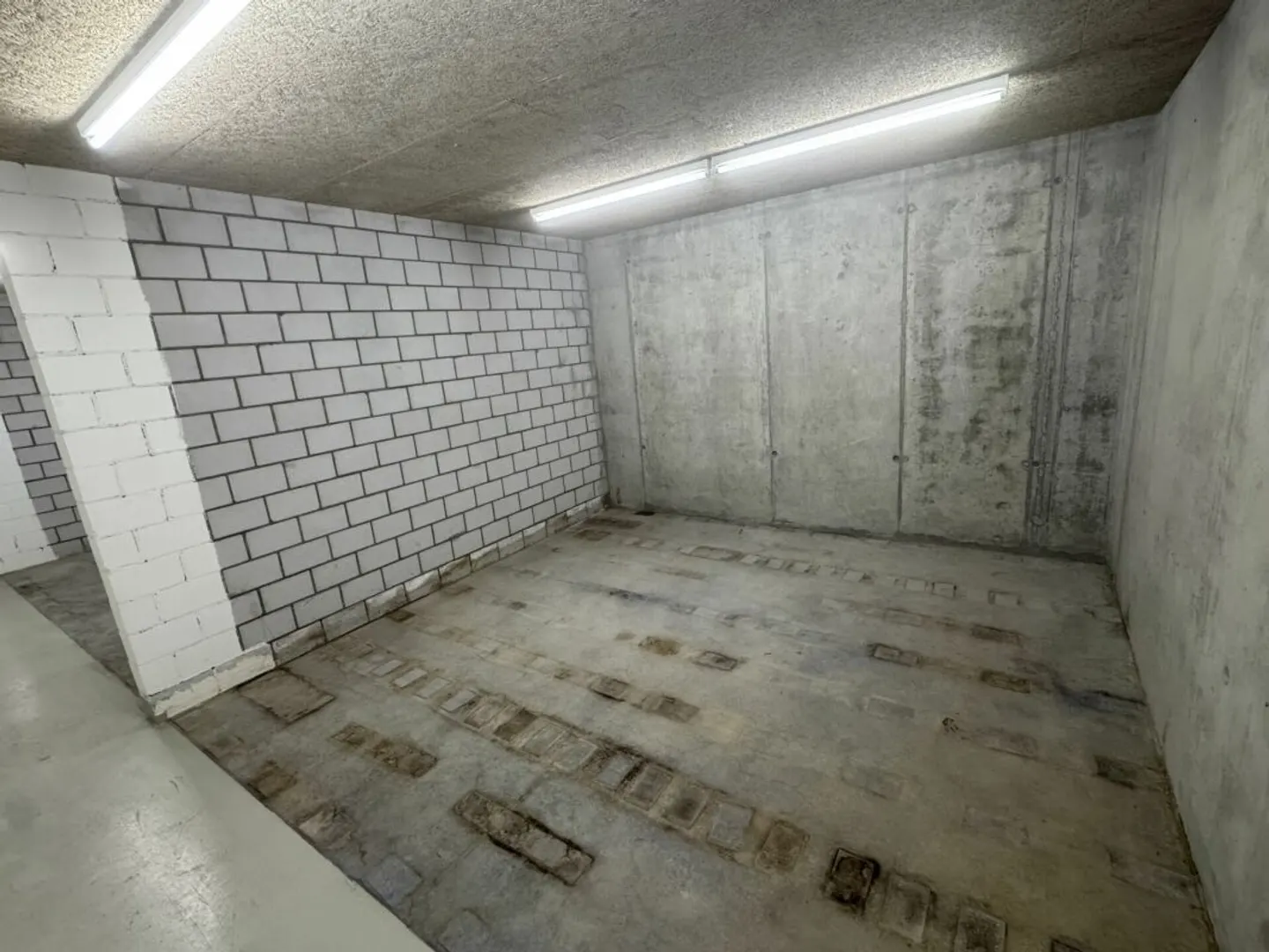 Storage Room - 53m2 - Photo 5 of 7