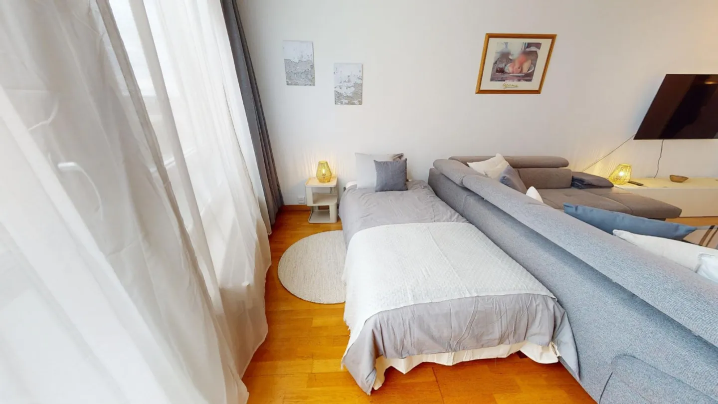 Studio Incantevole a Ginevra - Foto 6 di 8