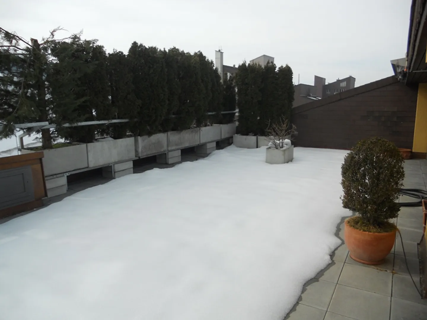 Extravagant Living on Two Floors! - Photo 7 of 9