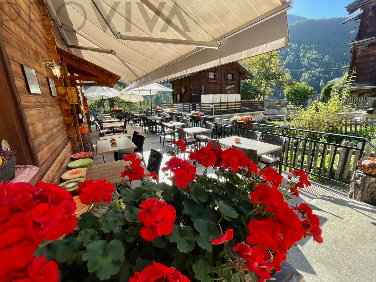 Gastronomie de montagne, où l'authenticité sert de toile de fond - Photo 3 sur 6