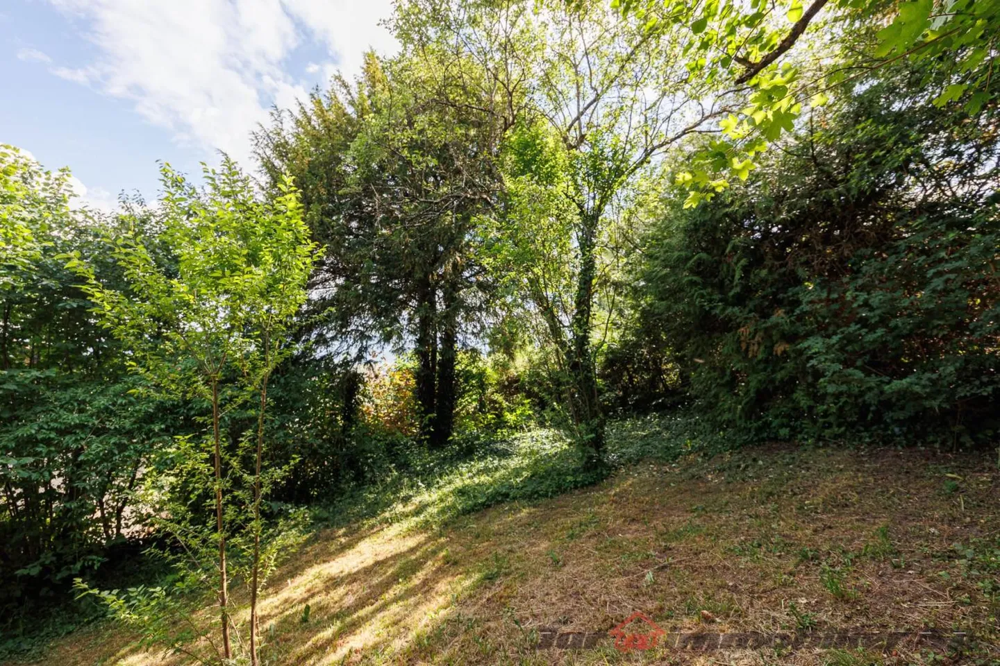 7-Zimmer-Haus - Foto 8 von 18