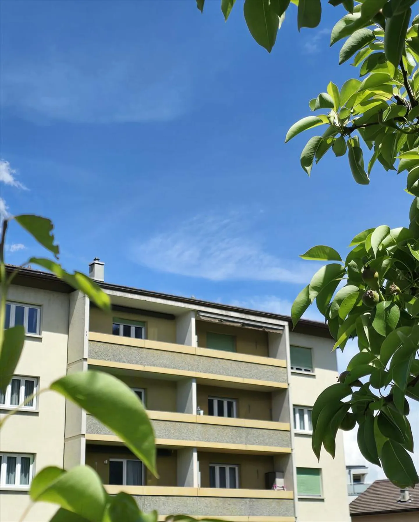 Charmante 4,5-Zimmer-Wohnung mit freiem Blick - Foto 8 von 8