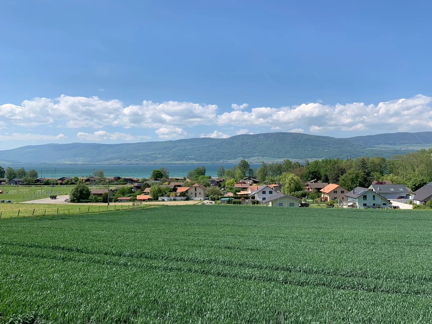 Moderne Villa mit 5.5 Zimmern *Magnifique Aussicht auf den See* - Foto 3 von 11