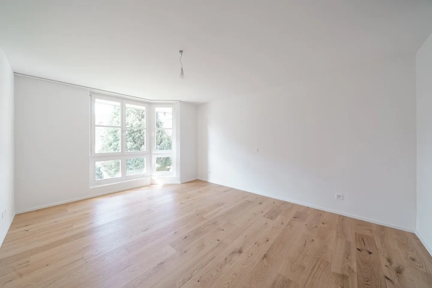 SPACIOUS BRIGHT APARTMENT - FRESHLY RENOVATED - Photo 7 of 12