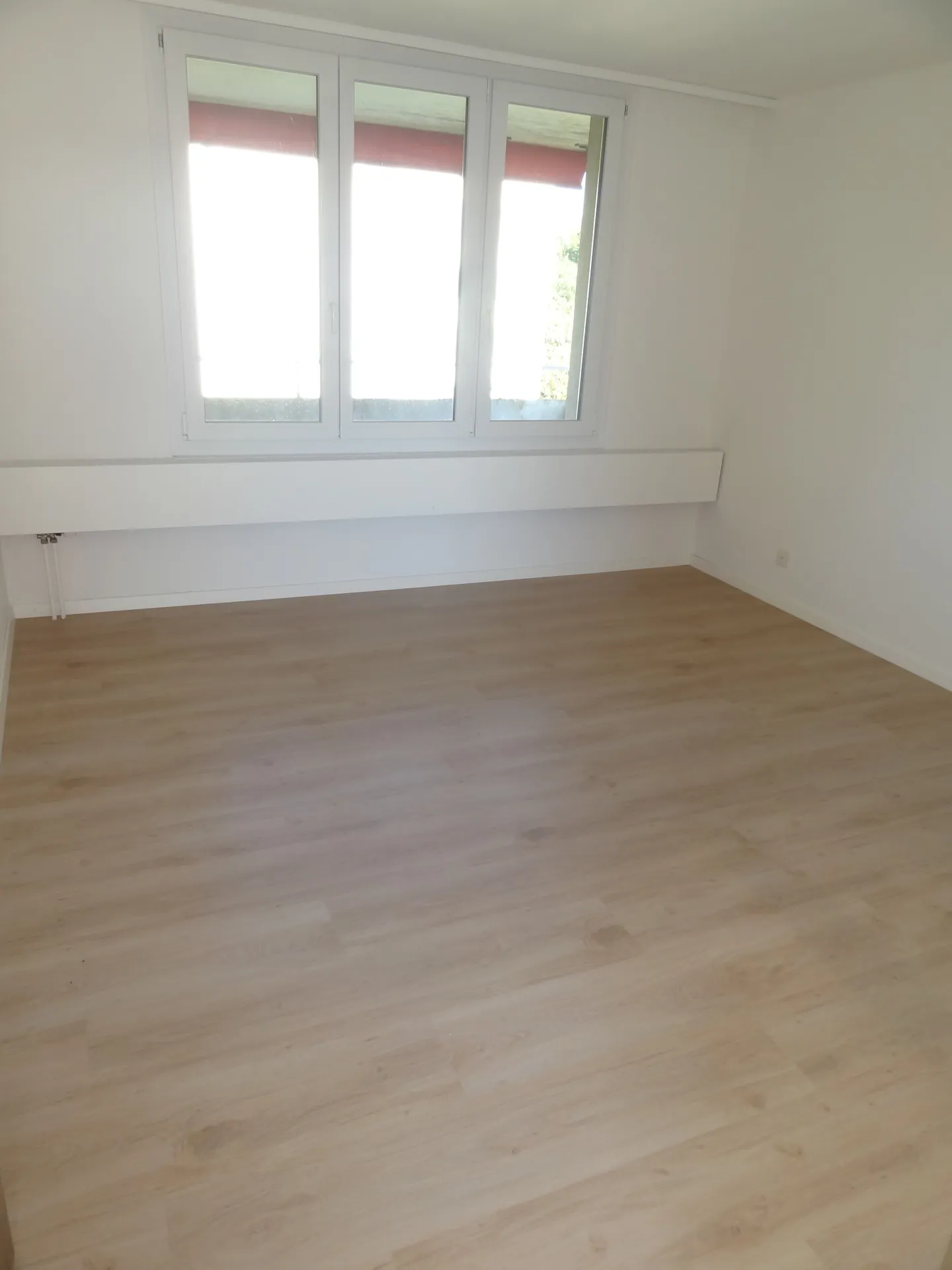 Newly renovated 2-room apartment - Photo 4 of 6