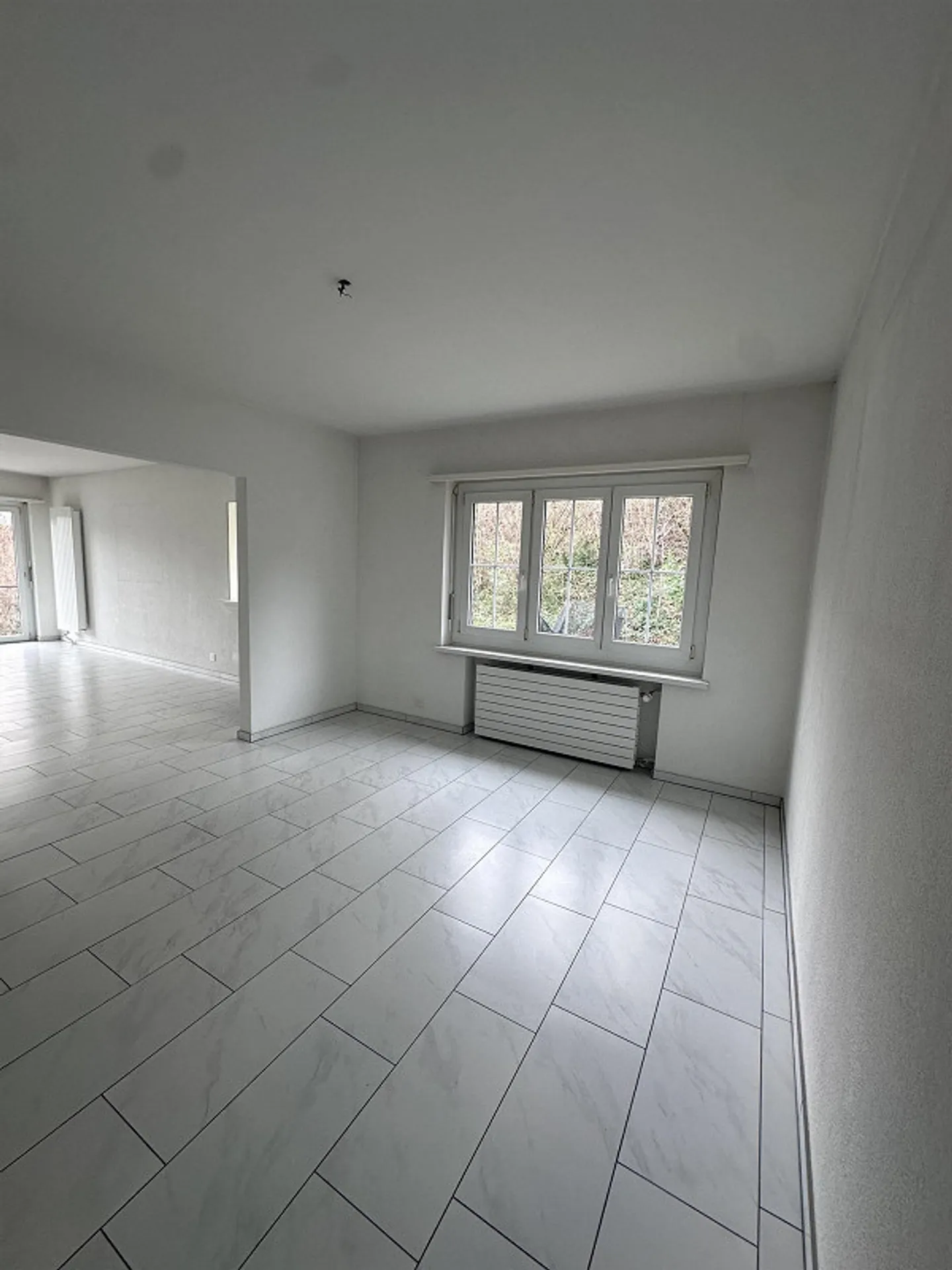 Lago di Zurigo davanti alla tua porta - Urbano con i vantaggi della natura - Foto 5 di 9