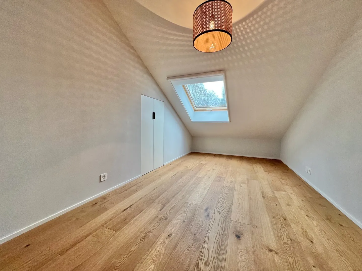 Equestrian Farm with Complete Facilities and 2 Accommodations - Photo 11 of 13