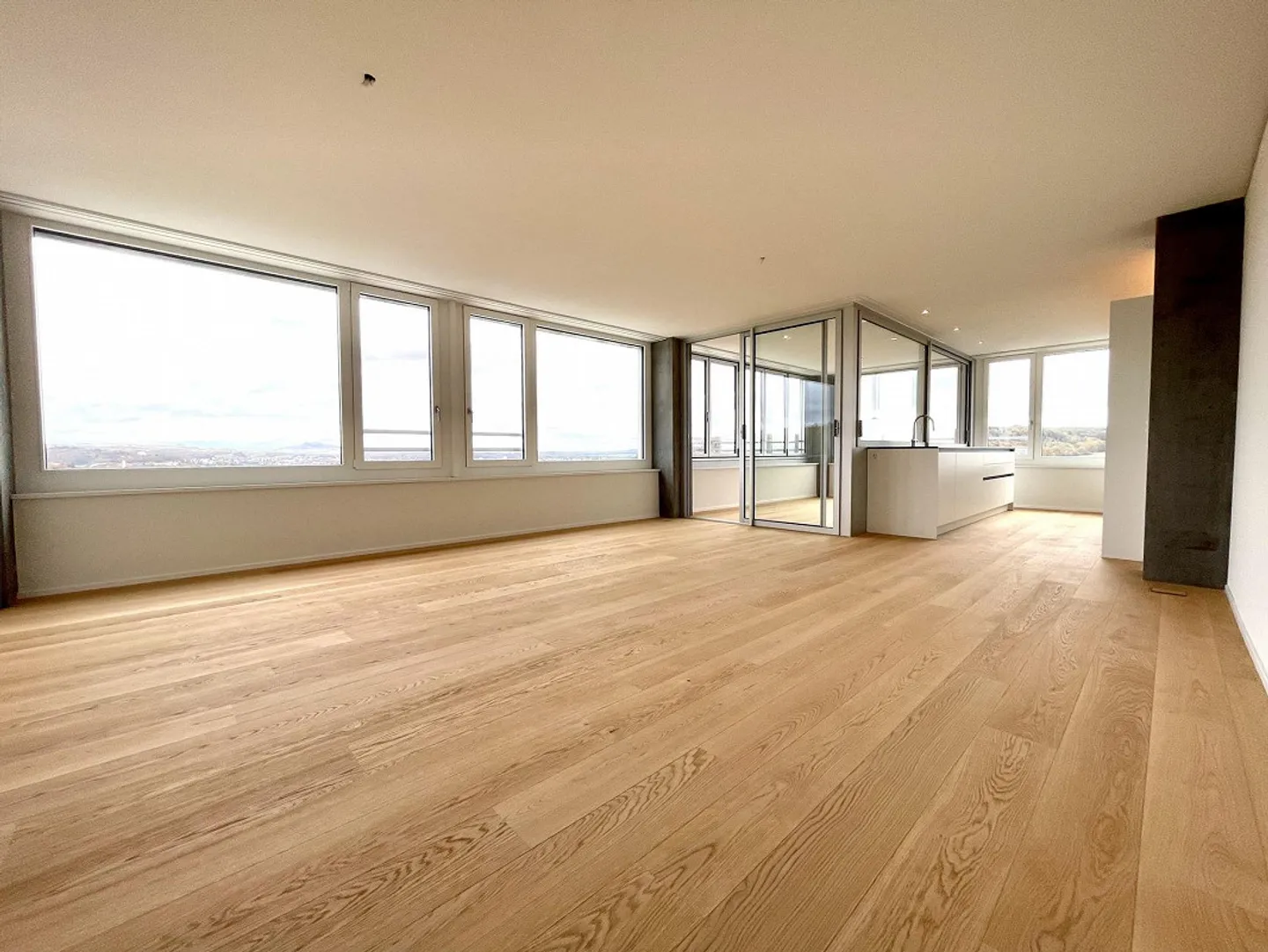 Rhyfall Tower | Exclusive Living Above the Rhine Falls - Photo 5 of 14