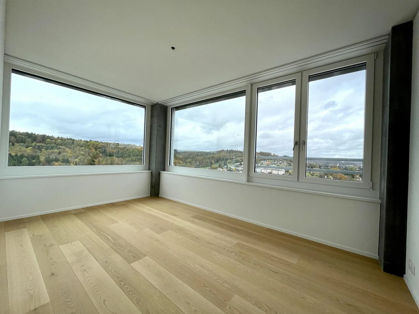 Rhyfall Tower | Exclusive Living Above the Rhine Falls - Photo 9 of 14