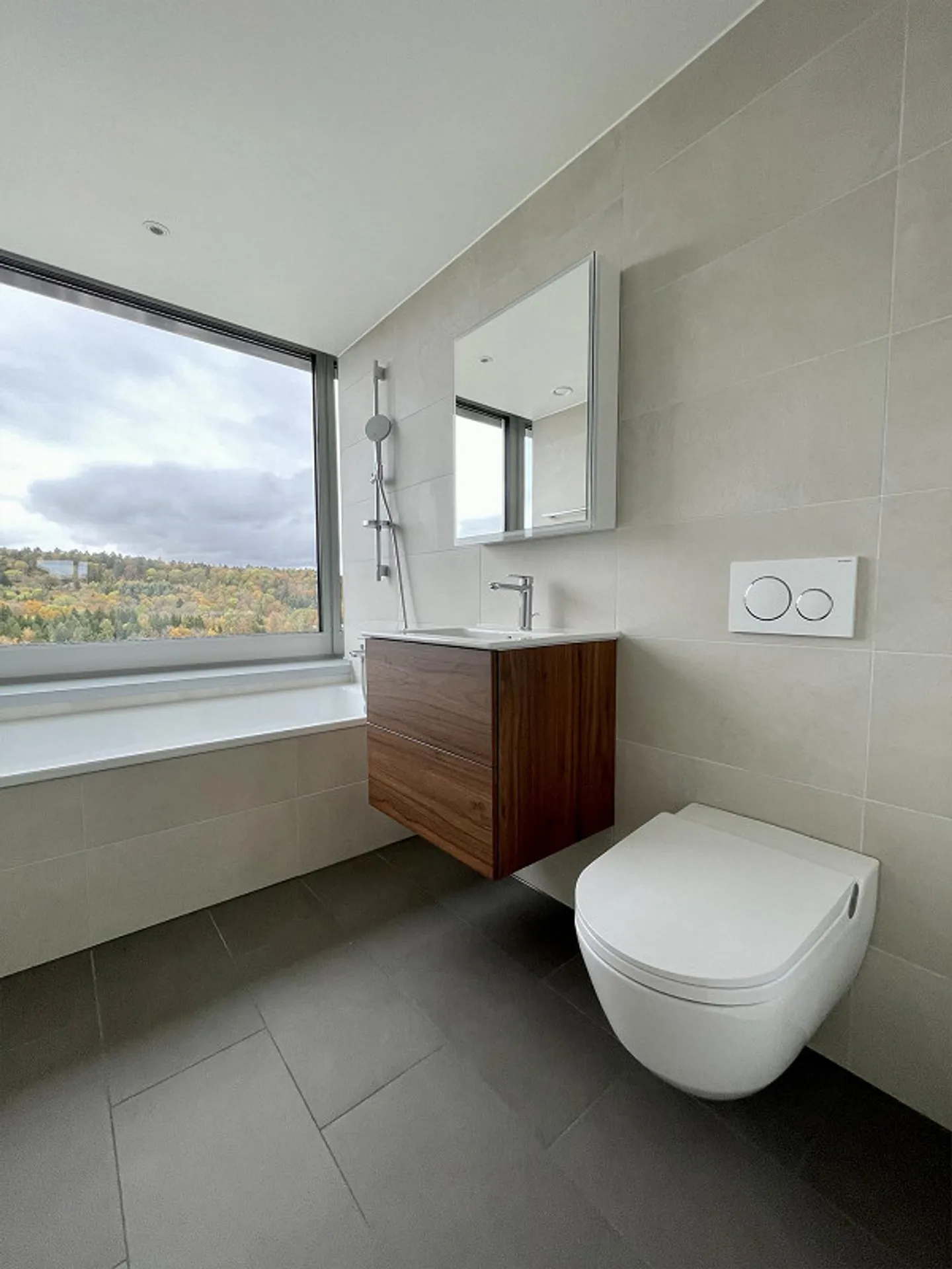 Rhyfall Tower | Exclusive Living Above the Rhine Falls - Photo 10 of 14