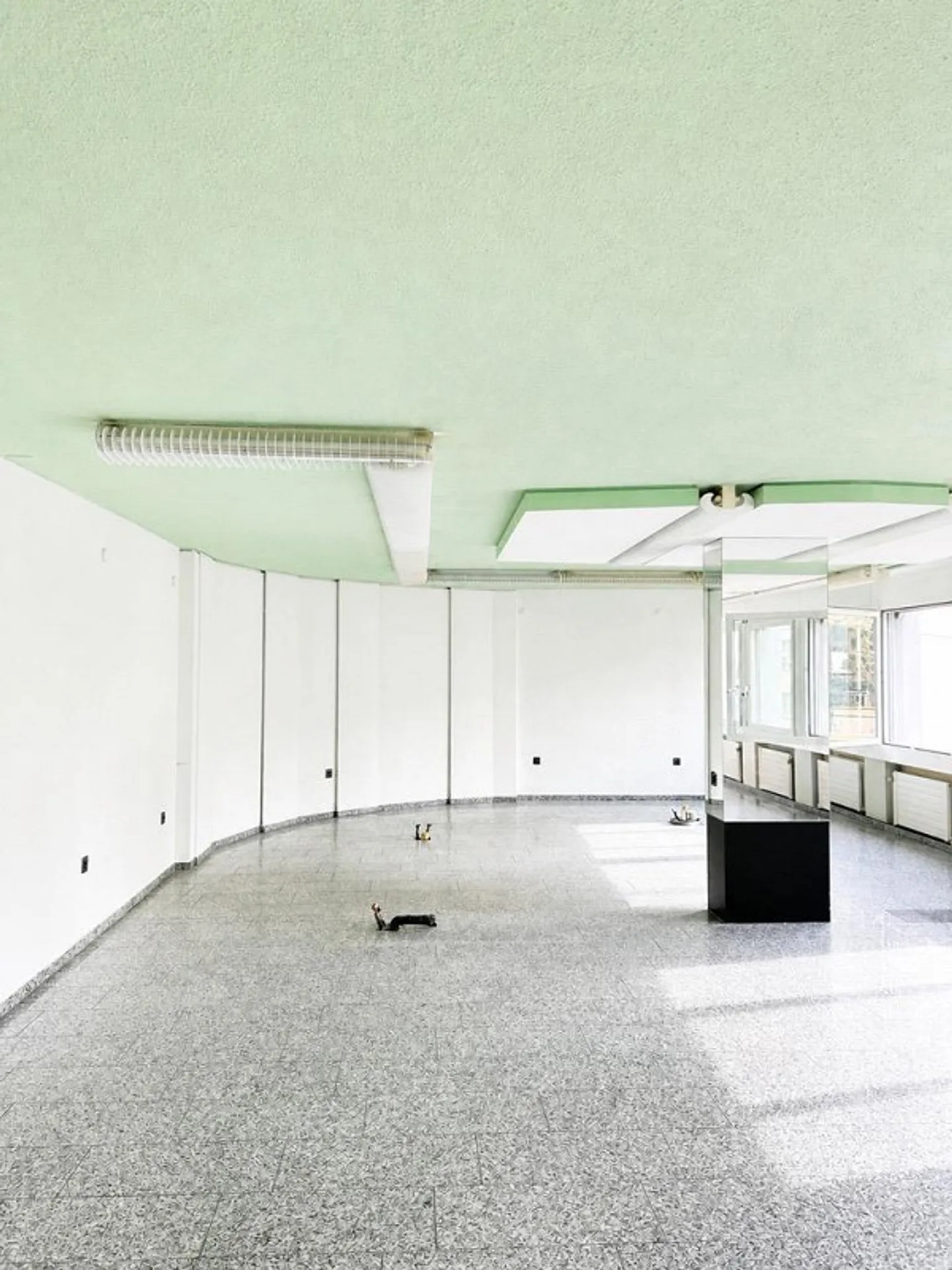 Office, training or commercial spaces for rent - Photo 2 of 4