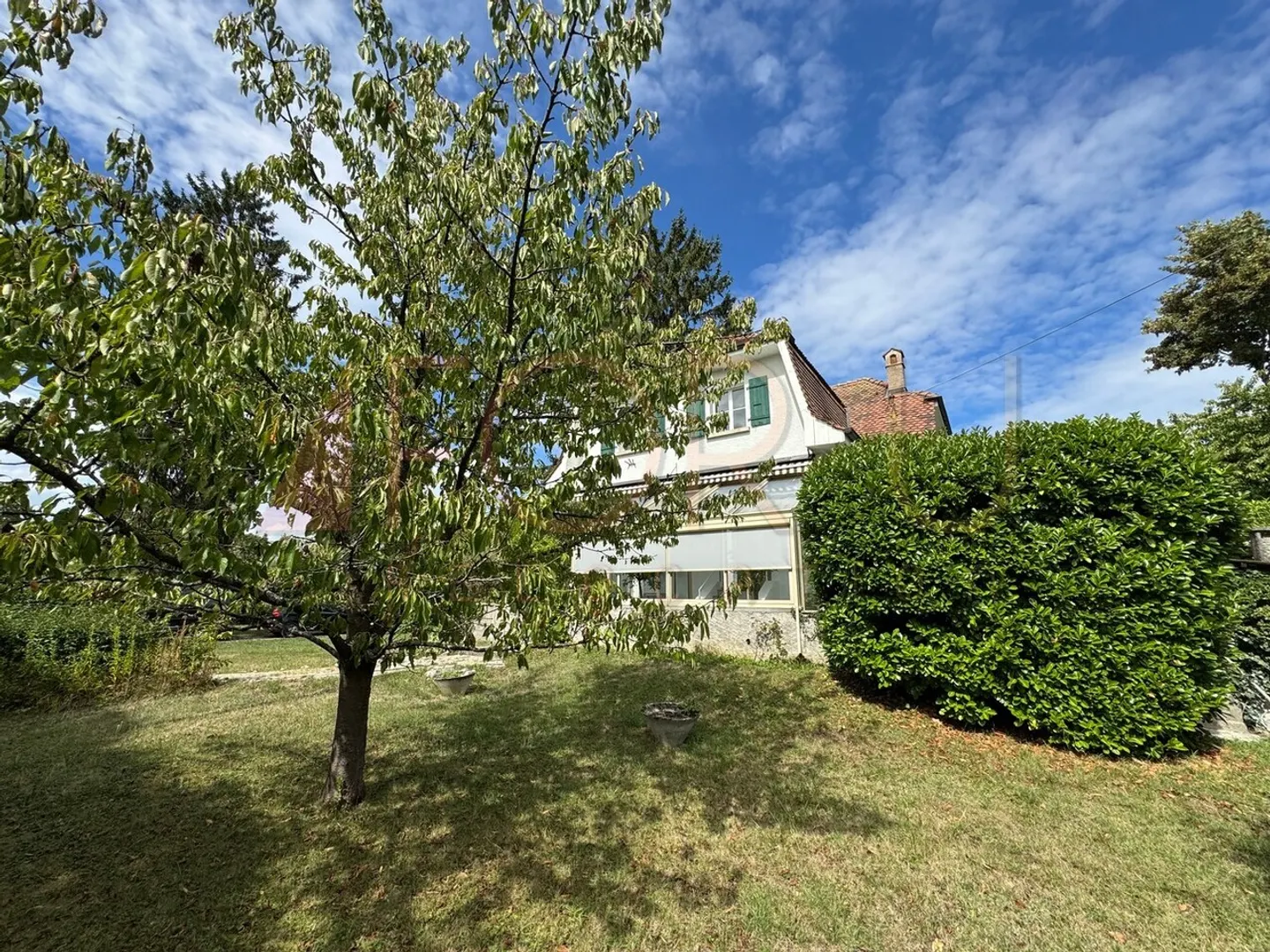 Elegant Master House in Chêne-Bourg - Photo 3 of 20